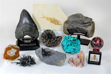 FossilEra.com .